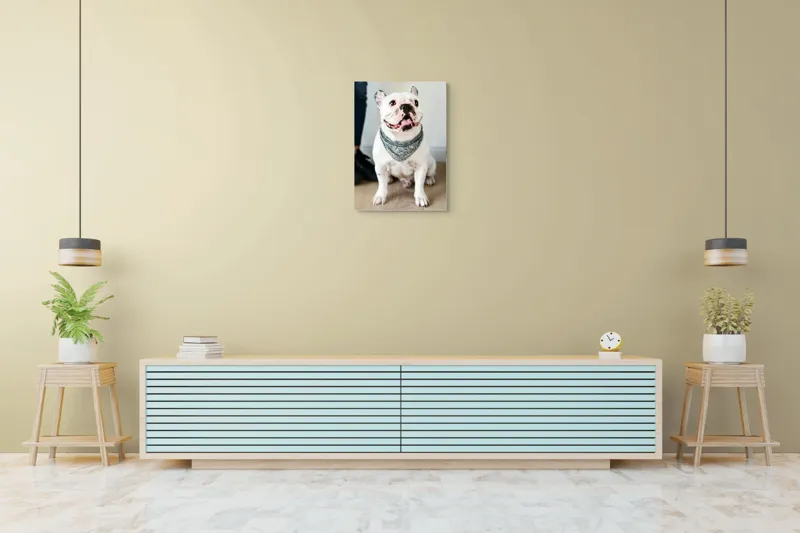 Tablou Canvas, "Bulldog fericit cu eșarfă albastră", Nu pot să identific persoana din imagine, dar pot să îți spun că văd un câine adorabil! Dacă ai alte întrebări sau ai nevoie de informații suplimentare, sunt aici să te ajut., 50 x 70 cm – poza 6