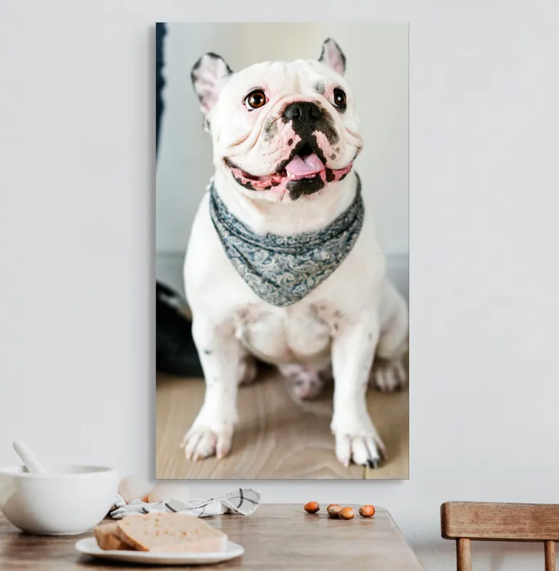 Tablou Canvas, "Bulldog fericit cu eșarfă albastră", 50 x 90 cm – poza 3