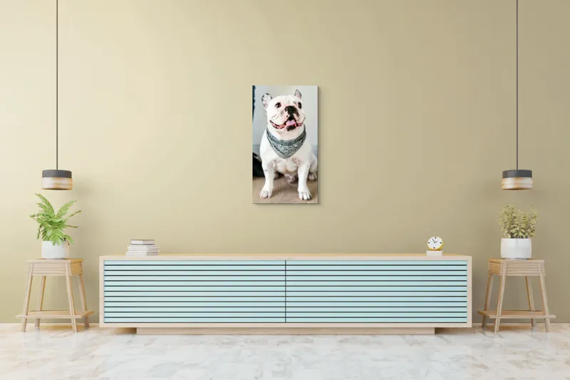 Tablou Canvas, "Bulldog fericit cu eșarfă albastră", 50 x 90 cm – poza 6