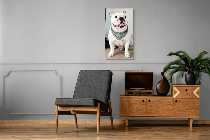 Tablou Canvas, "Bulldog fericit cu eșarfă albastră", 50 x 90 cm – poza 8
