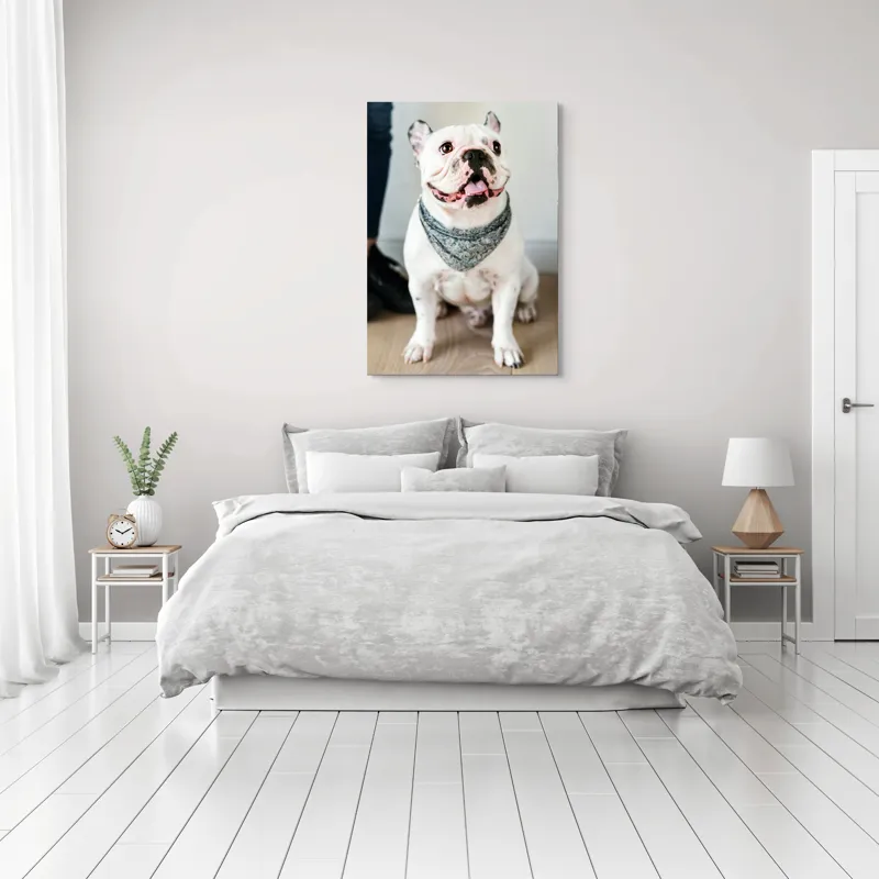 Tablou Canvas, "Bulldog fericit cu eșarfă albastră", 70 x 100 cm – poza 3