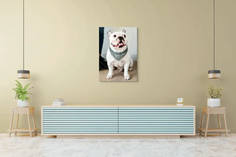 Tablou Canvas, "Bulldog fericit cu eșarfă albastră", 70 x 100 cm – poza 5