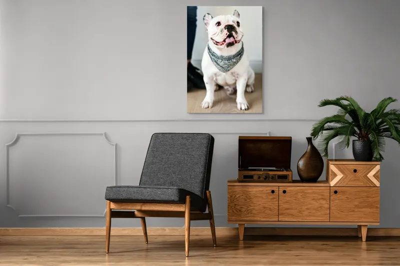 Tablou Canvas, "Bulldog fericit cu eșarfă albastră", 70 x 100 cm – poza 6
