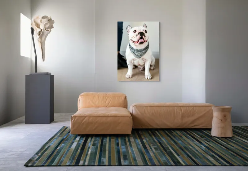 Tablou Canvas, "Bulldog fericit cu eșarfă albastră", 70 x 100 cm – poza 7
