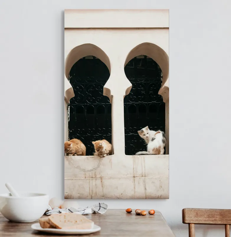 Tablou Canvas, "Trei pisici la fereastra veche", Pisici, Fereastră, Grilaj, Arhitectură, Alb., 50 x 90 cm – poza 3