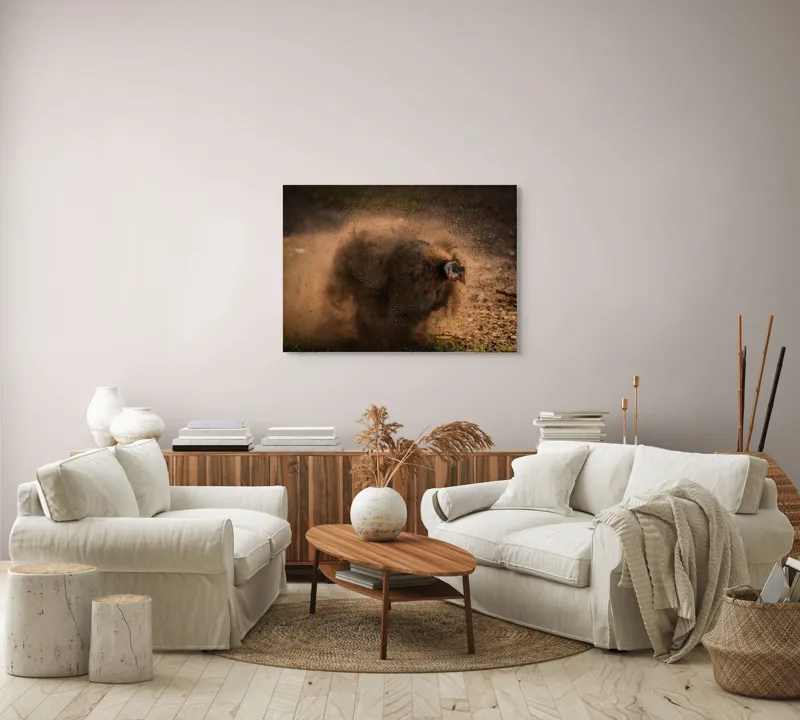 Tablou Canvas, "Păun african dansând în praf", Praf, Energie, Mișcare, Zgomot, Păsăre, Natură, Contrast, Dinamism, 100 x 70 cm – poza 3