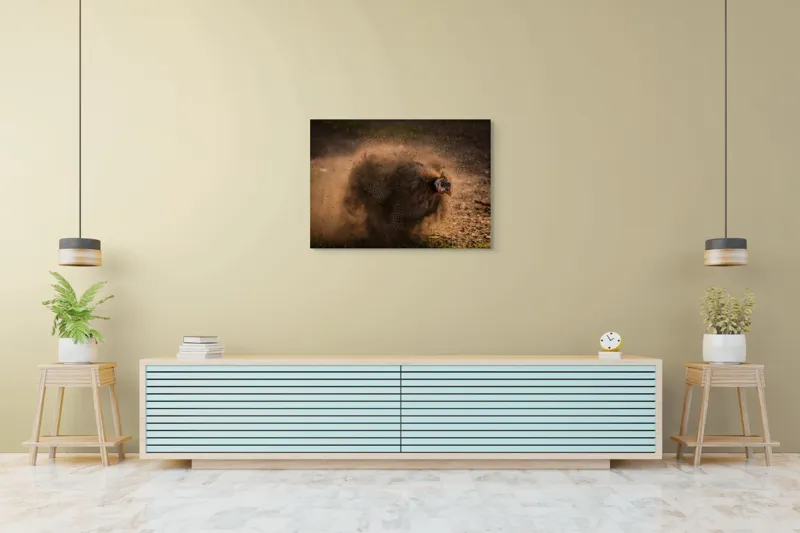 Tablou Canvas, "Păun african dansând în praf", Praf, Energie, Mișcare, Zgomot, Păsăre, Natură, Contrast, Dinamism, 100 x 70 cm – poza 4