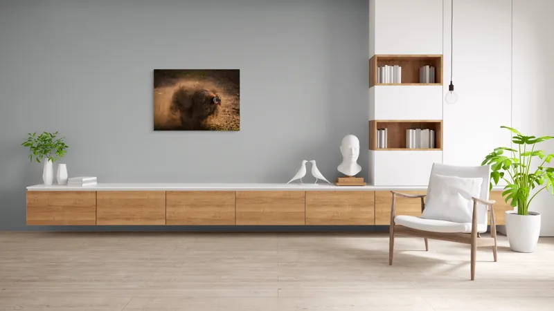 Tablou Canvas, "Păun african dansând în praf", Praf, Energie, Mișcare, Zgomot, Păsăre, Natură, Contrast, Dinamism, 100 x 70 cm – poza 6