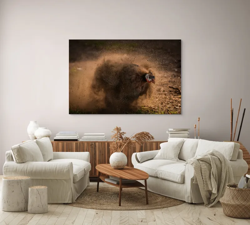 Tablou Canvas, "Păun african dansând în praf", Praf, Energie, Mișcare, Zgomot, Păsăre, Natură, Contrast, Dinamism, 150 x 100 cm – poza 3