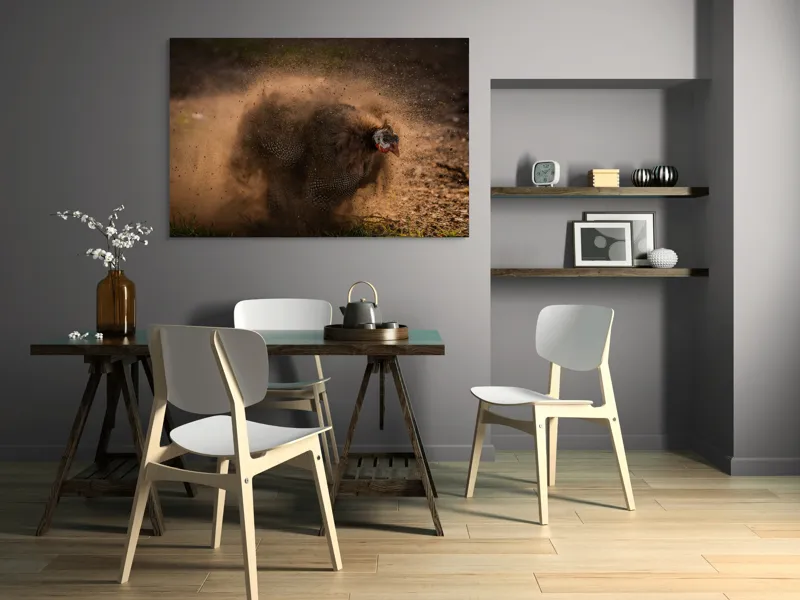 Tablou Canvas, "Păun african dansând în praf", Praf, Energie, Mișcare, Zgomot, Păsăre, Natură, Contrast, Dinamism, 150 x 100 cm – poza 5