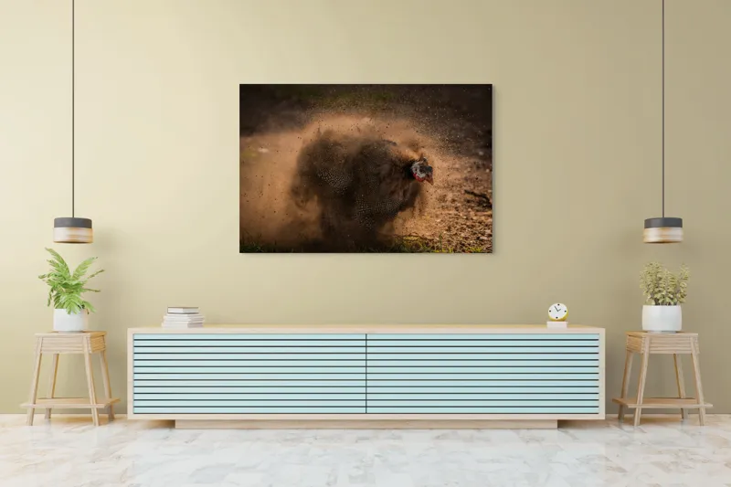 Tablou Canvas, "Păun african dansând în praf", Praf, Energie, Mișcare, Zgomot, Păsăre, Natură, Contrast, Dinamism, 150 x 100 cm – poza 6