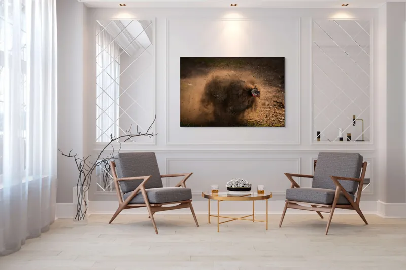 Tablou Canvas, "Păun african dansând în praf", Praf, Energie, Mișcare, Zgomot, Păsăre, Natură, Contrast, Dinamism, 150 x 100 cm – poza 7