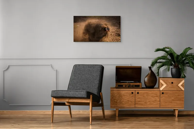Tablou Canvas, "Păun african dansând în praf", Praf, Energie, Mișcare, Zgomot, Păsăre, Natură, Contrast, Dinamism, 90 x 50 cm – poza 6