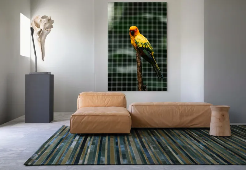 Tablou Canvas, "Papagal colorat pe creanga solitară", Papagal, Colorat, Verde, Galben, Portocaliu, Sârmă, Fundal, Perchă, Prăjină, Panou, 100 x 150 cm – poza 7