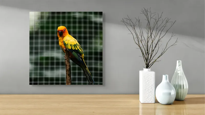 Tablou Canvas, "Papagal colorat pe creanga solitară", Papagal, Colorat, Verde, Galben, Portocaliu, Sârmă, Fundal, Perchă, Prăjină, Panou, 50 x 50 cm – poza 3