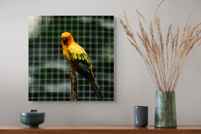 Tablou Canvas, "Papagal colorat pe creanga solitară", Papagal, Colorat, Verde, Galben, Portocaliu, Sârmă, Fundal, Perchă, Prăjină, Panou, 50 x 50 cm – poza 4