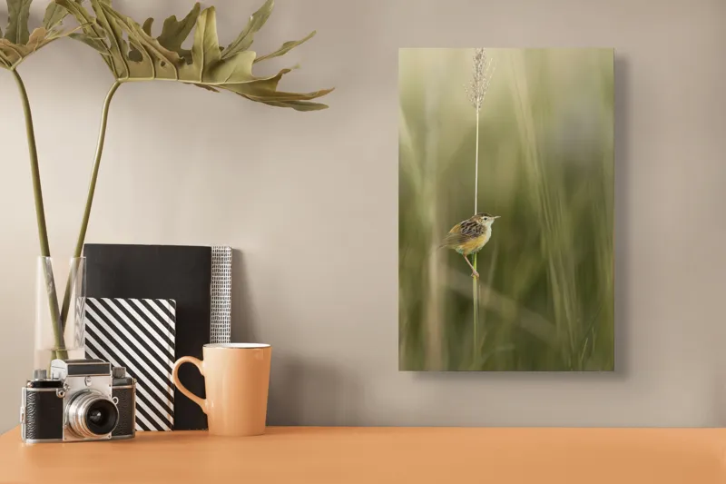 Tablou Canvas, "Pasărea singuratică pe firul vieții", Păsărică, Delicatețe, Natură, Iarbă, Tranquilitate, Nepăsare, Simplitate, Verdeață, Grație, Echilibru, 26 x 39 cm – poza 3