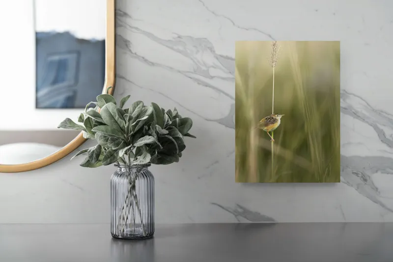 Tablou Canvas, "Pasărea singuratică pe firul vieții", Păsărică, Delicatețe, Natură, Iarbă, Tranquilitate, Nepăsare, Simplitate, Verdeață, Grație, Echilibru, 26 x 39 cm – poza 4