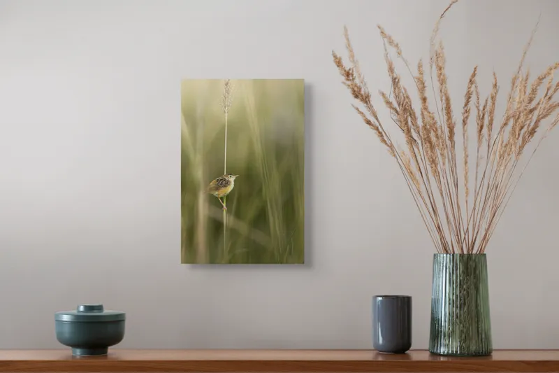 Tablou Canvas, "Pasărea singuratică pe firul vieții", Păsărică, Delicatețe, Natură, Iarbă, Tranquilitate, Nepăsare, Simplitate, Verdeață, Grație, Echilibru, 26 x 39 cm – poza 5