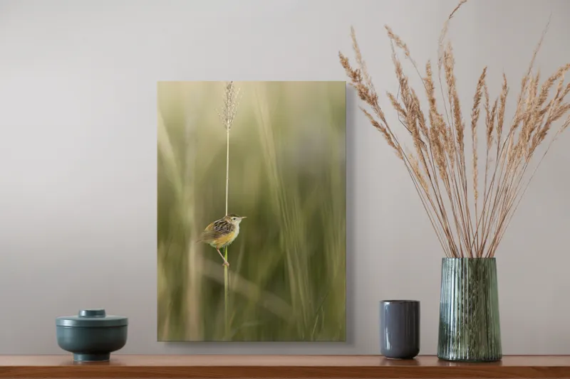 Tablou Canvas, "Pasărea singuratică pe firul vieții", Păsărică, Delicatețe, Natură, Iarbă, Tranquilitate, Nepăsare, Simplitate, Verdeață, Grație, Echilibru, 39 x 54 cm – poza 3