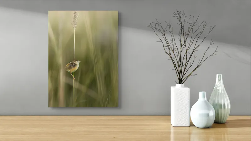 Tablou Canvas, "Pasărea singuratică pe firul vieții", Păsărică, Delicatețe, Natură, Iarbă, Tranquilitate, Nepăsare, Simplitate, Verdeață, Grație, Echilibru, 39 x 54 cm – poza 4