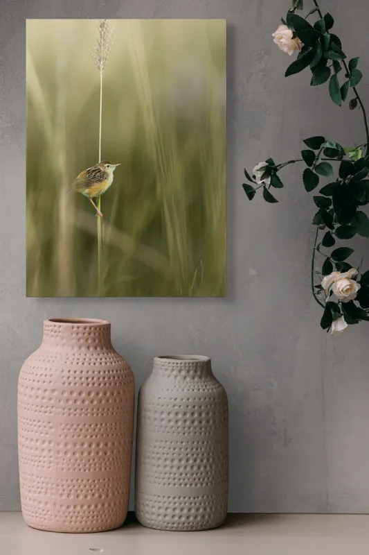 Tablou Canvas, "Pasărea singuratică pe firul vieții", Păsărică, Delicatețe, Natură, Iarbă, Tranquilitate, Nepăsare, Simplitate, Verdeață, Grație, Echilibru, 39 x 54 cm – poza 6