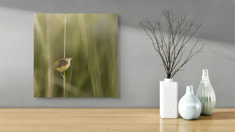 Tablou Canvas, "Pasărea singuratică pe firul vieții", Păsărică, Delicatețe, Natură, Iarbă, Tranquilitate, Nepăsare, Simplitate, Verdeață, Grație, Echilibru, 50 x 50 cm – poza 3
