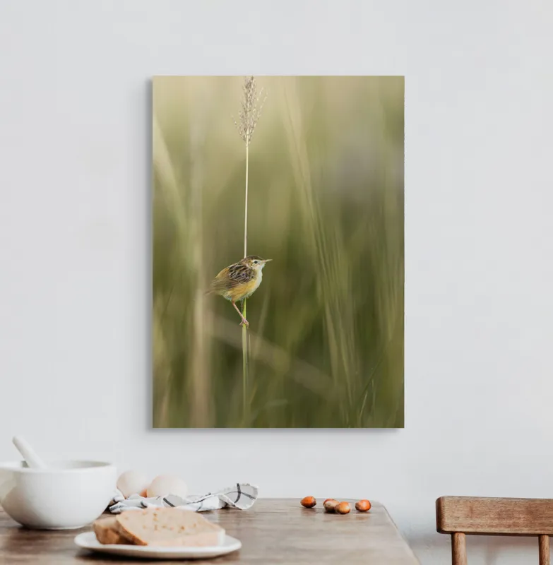 Tablou Canvas, "Pasărea singuratică pe firul vieții", Păsărică, Delicatețe, Natură, Iarbă, Tranquilitate, Nepăsare, Simplitate, Verdeață, Grație, Echilibru, 50 x 70 cm – poza 3