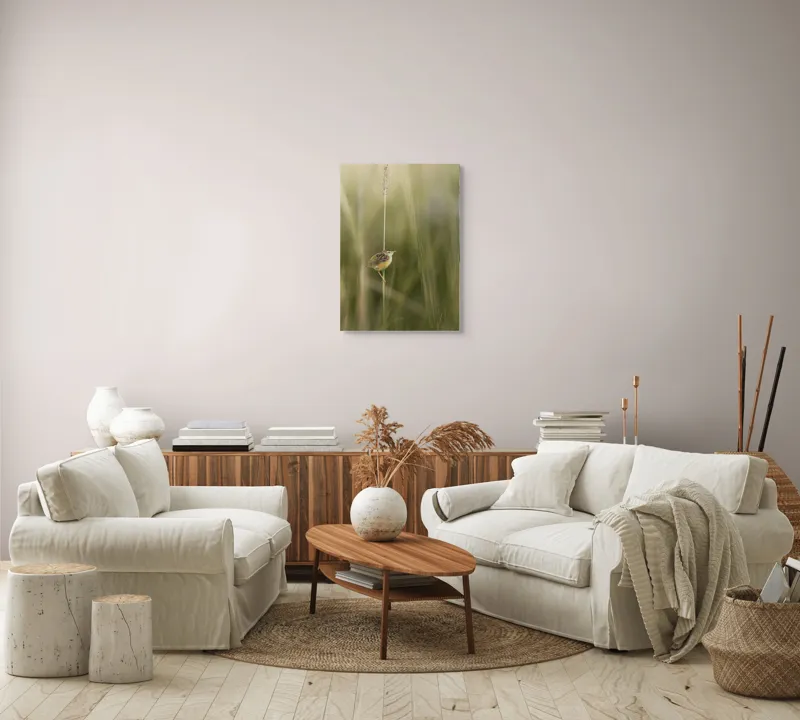 Tablou Canvas, "Pasărea singuratică pe firul vieții", Păsărică, Delicatețe, Natură, Iarbă, Tranquilitate, Nepăsare, Simplitate, Verdeață, Grație, Echilibru, 50 x 70 cm – poza 4