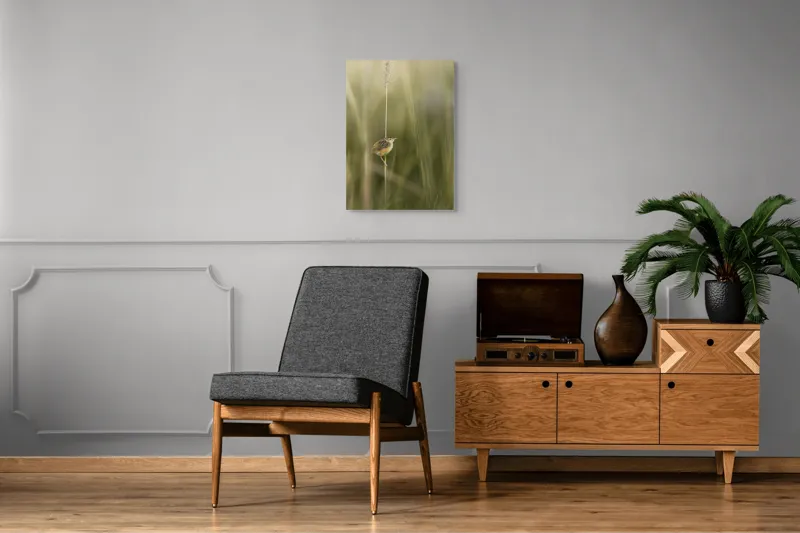 Tablou Canvas, "Pasărea singuratică pe firul vieții", Păsărică, Delicatețe, Natură, Iarbă, Tranquilitate, Nepăsare, Simplitate, Verdeață, Grație, Echilibru, 50 x 70 cm – poza 8