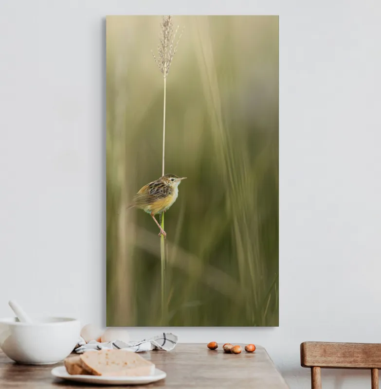 Tablou Canvas, "Pasărea singuratică pe firul vieții", Păsărică, Delicatețe, Natură, Iarbă, Tranquilitate, Nepăsare, Simplitate, Verdeață, Grație, Echilibru, 50 x 90 cm – poza 3