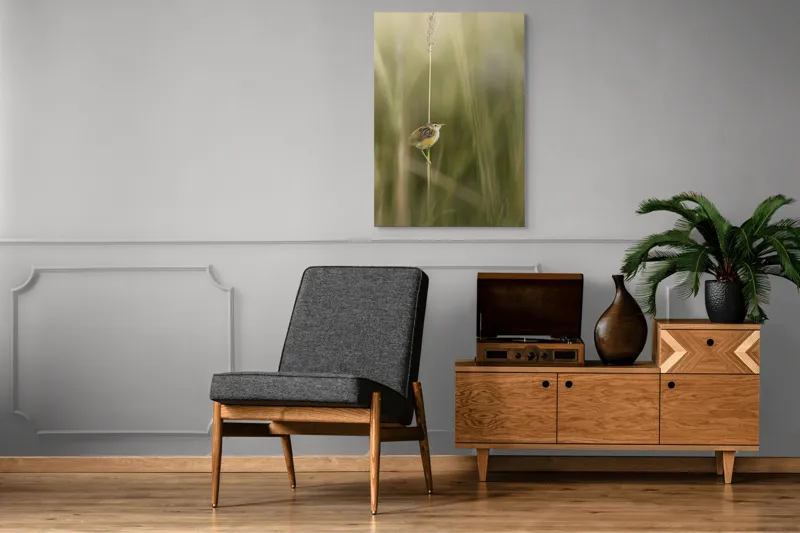 Tablou Canvas, "Pasărea singuratică pe firul vieții", Păsărică, Delicatețe, Natură, Iarbă, Tranquilitate, Nepăsare, Simplitate, Verdeață, Grație, Echilibru, 70 x 100 cm – poza 6