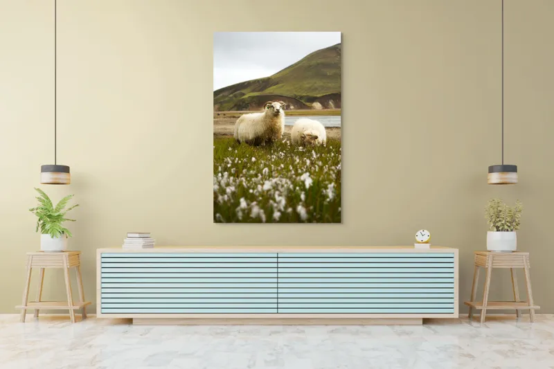 Tablou Canvas, "Oile pășunând în peisaj montan", Oi, Pajiște, Munte, Culoare, Cer, Verde, Natură, Peisaj, Blană, Flori, Calmitate, Frumusețe, Rural, Serenitate, Pășunat, 100 x 150 cm – poza 4