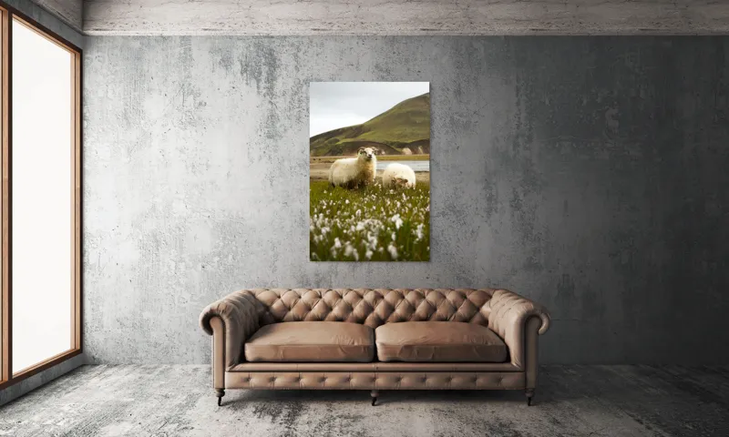 Tablou Canvas, "Oile pășunând în peisaj montan", Oi, Pajiște, Munte, Culoare, Cer, Verde, Natură, Peisaj, Blană, Flori, Calmitate, Frumusețe, Rural, Serenitate, Pășunat, 100 x 150 cm – poza 6