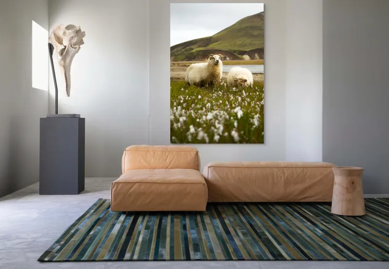 Tablou Canvas, "Oile pășunând în peisaj montan", Oi, Pajiște, Munte, Culoare, Cer, Verde, Natură, Peisaj, Blană, Flori, Calmitate, Frumusețe, Rural, Serenitate, Pășunat, 100 x 150 cm – poza 7