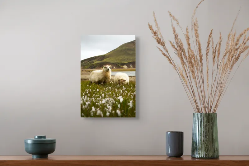 Tablou Canvas, "Oile pășunând în peisaj montan", Oi, Pajiște, Munte, Culoare, Cer, Verde, Natură, Peisaj, Blană, Flori, Calmitate, Frumusețe, Rural, Serenitate, Pășunat, 26 x 39 cm – poza 5