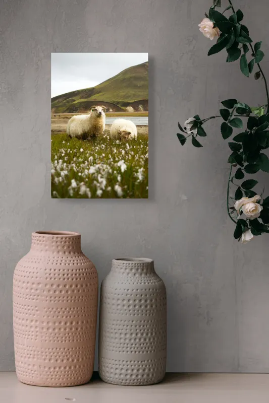 Tablou Canvas, "Oile pășunând în peisaj montan", Oi, Pajiște, Munte, Culoare, Cer, Verde, Natură, Peisaj, Blană, Flori, Calmitate, Frumusețe, Rural, Serenitate, Pășunat, 26 x 39 cm – poza 6