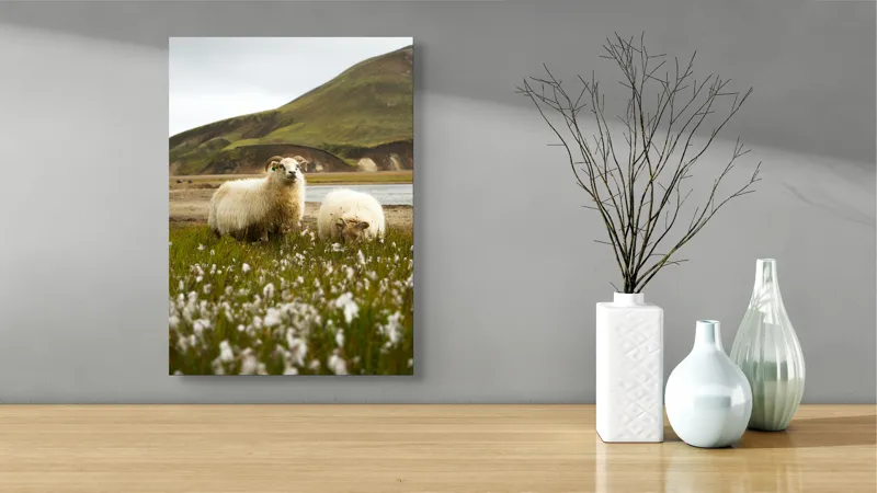 Tablou Canvas, "Oile pășunând în peisaj montan", Oi, Pajiște, Munte, Culoare, Cer, Verde, Natură, Peisaj, Blană, Flori, Calmitate, Frumusețe, Rural, Serenitate, Pășunat, 39 x 54 cm – poza 4