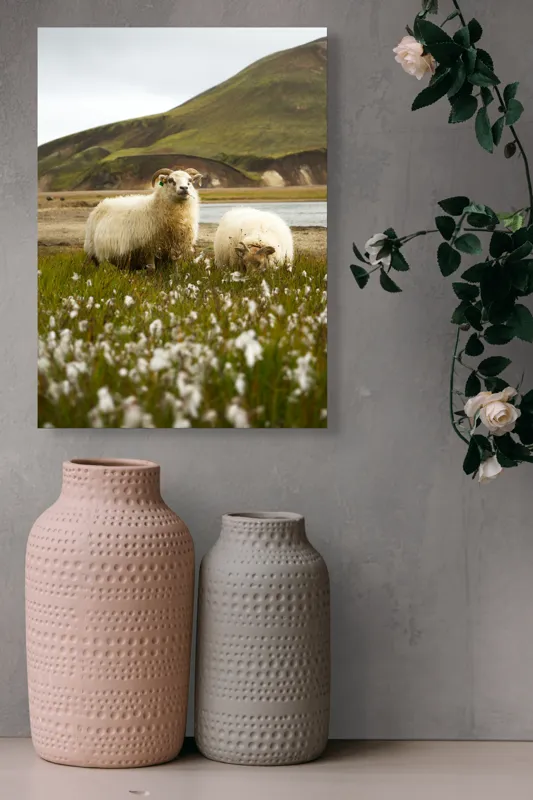 Tablou Canvas, "Oile pășunând în peisaj montan", Oi, Pajiște, Munte, Culoare, Cer, Verde, Natură, Peisaj, Blană, Flori, Calmitate, Frumusețe, Rural, Serenitate, Pășunat, 39 x 54 cm – poza 6