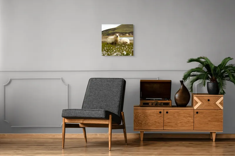 Tablou Canvas, "Oile pășunând în peisaj montan", Oi, Pajiște, Munte, Culoare, Cer, Verde, Natură, Peisaj, Blană, Flori, Calmitate, Frumusețe, Rural, Serenitate, Pășunat, 50 x 50 cm – poza 6
