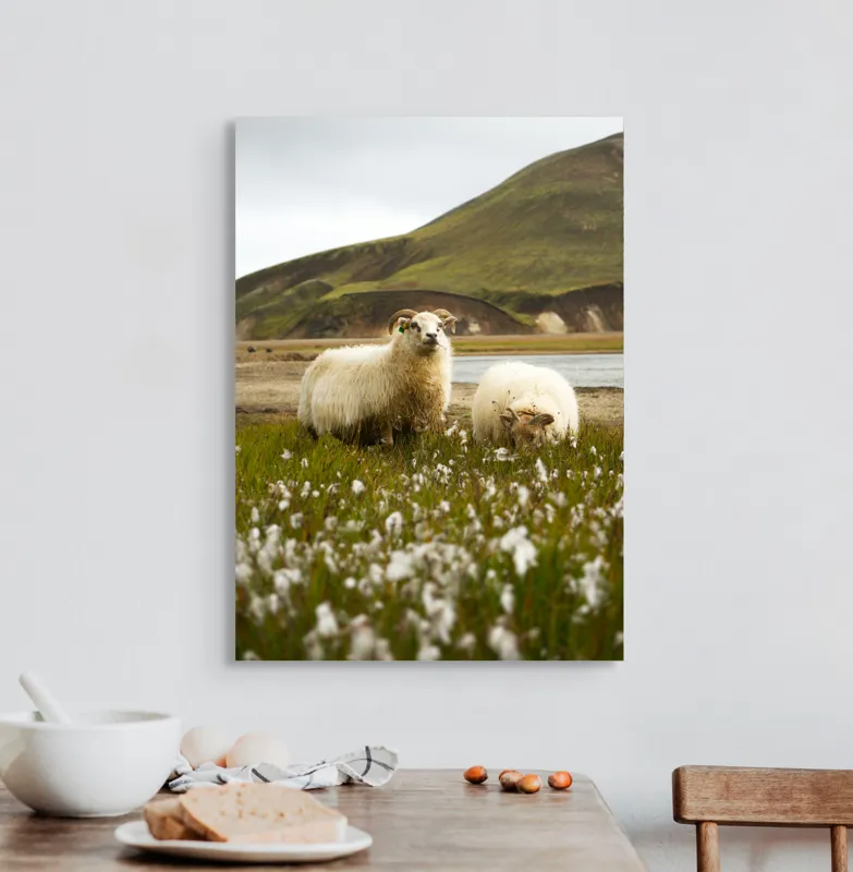 Tablou Canvas, "Oile pășunând în peisaj montan", Oi, Pajiște, Munte, Culoare, Cer, Verde, Natură, Peisaj, Blană, Flori, Calmitate, Frumusețe, Rural, Serenitate, Pășunat, 50 x 70 cm – poza 3