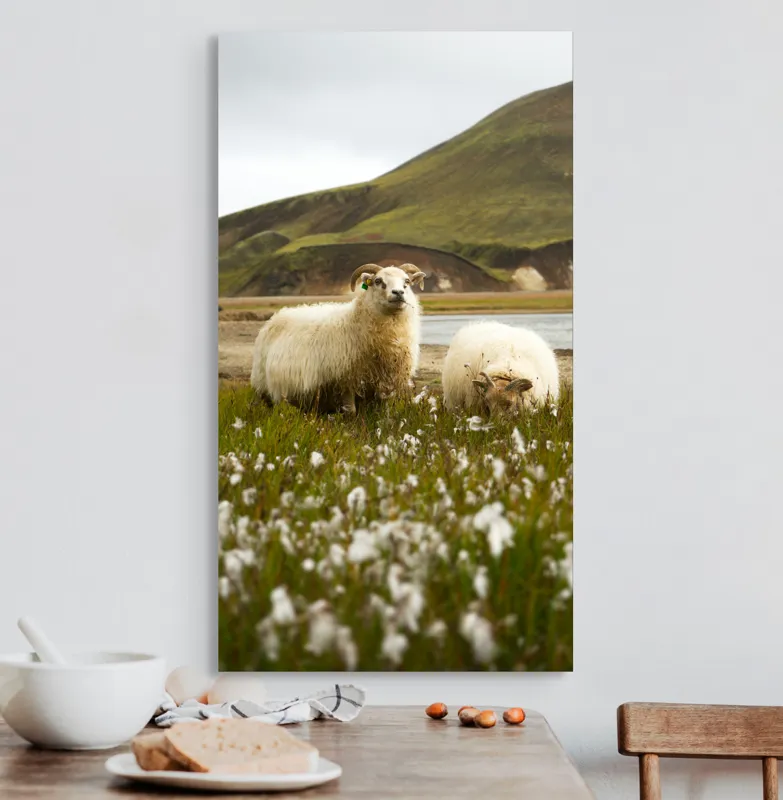 Tablou Canvas, "Oile pășunând în peisaj montan", Oi, Pajiște, Munte, Culoare, Cer, Verde, Natură, Peisaj, Blană, Flori, Calmitate, Frumusețe, Rural, Serenitate, Pășunat, 50 x 90 cm – poza 3