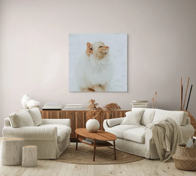 Tablou Canvas, "Pisica pufoasă pe zăpadă albă", Pisică, Fluffy, Albă, Zăpadă, Blană, Frig, Curioasă, Frumoasă, 100 x 100 cm – poza 3