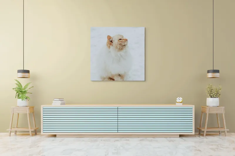 Tablou Canvas, "Pisica pufoasă pe zăpadă albă", Pisică, Fluffy, Albă, Zăpadă, Blană, Frig, Curioasă, Frumoasă, 100 x 100 cm – poza 5