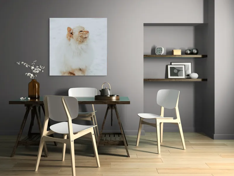 Tablou Canvas, "Pisica pufoasă pe zăpadă albă", Pisică, Fluffy, Albă, Zăpadă, Blană, Frig, Curioasă, Frumoasă, 100 x 100 cm – poza 6
