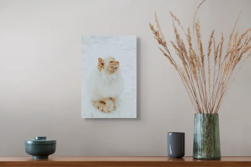 Tablou Canvas, "Pisica pufoasă pe zăpadă albă", Pisică, Fluffy, Albă, Zăpadă, Blană, Frig, Curioasă, Frumoasă, 26 x 39 cm – poza 5