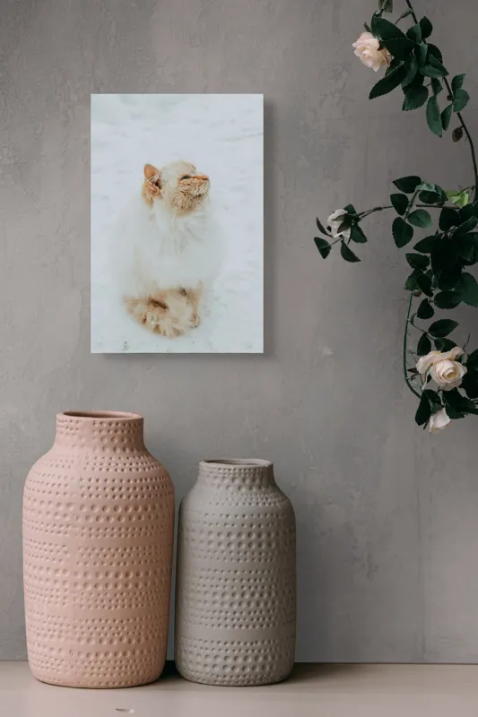 Tablou Canvas, "Pisica pufoasă pe zăpadă albă", Pisică, Fluffy, Albă, Zăpadă, Blană, Frig, Curioasă, Frumoasă, 26 x 39 cm – poza 6