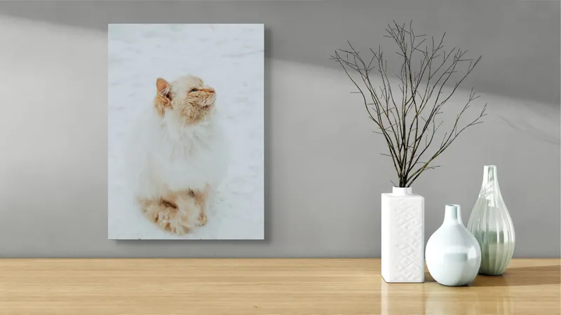 Tablou Canvas, "Pisica pufoasă pe zăpadă albă", Pisică, Fluffy, Albă, Zăpadă, Blană, Frig, Curioasă, Frumoasă, 39 x 54 cm – poza 4