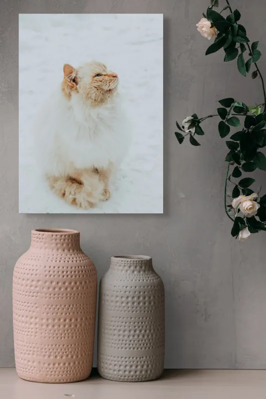 Tablou Canvas, "Pisica pufoasă pe zăpadă albă", Pisică, Fluffy, Albă, Zăpadă, Blană, Frig, Curioasă, Frumoasă, 39 x 54 cm – poza 6