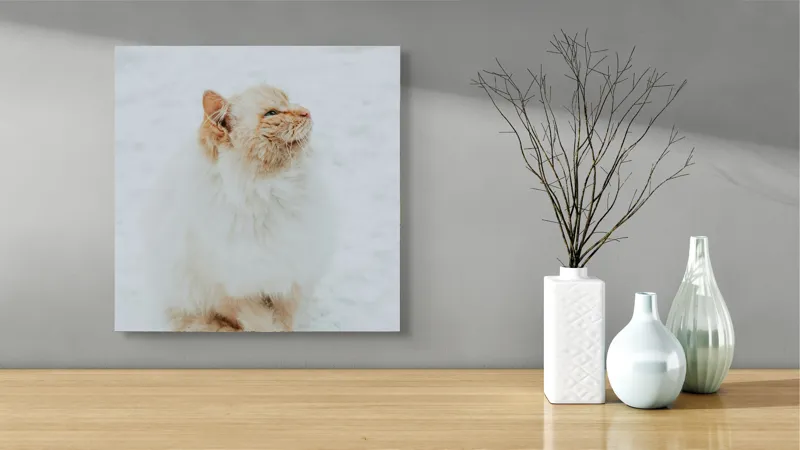 Tablou Canvas, "Pisica pufoasă pe zăpadă albă", Pisică, Fluffy, Albă, Zăpadă, Blană, Frig, Curioasă, Frumoasă, 50 x 50 cm – poza 3
